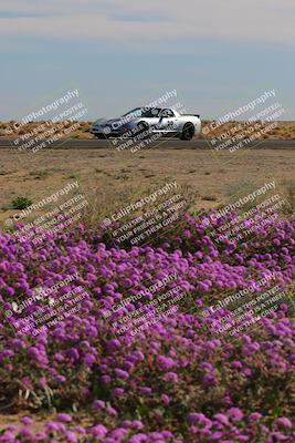 media/Jan-08-2023-SCCA SD (Sun) [[8f6a5b9391]]/Intermediate Group/Session 2 (Short Straight)/